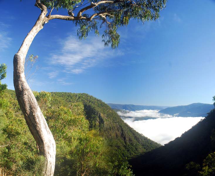 Chaelundi Falls panorama 1 sp.jpg