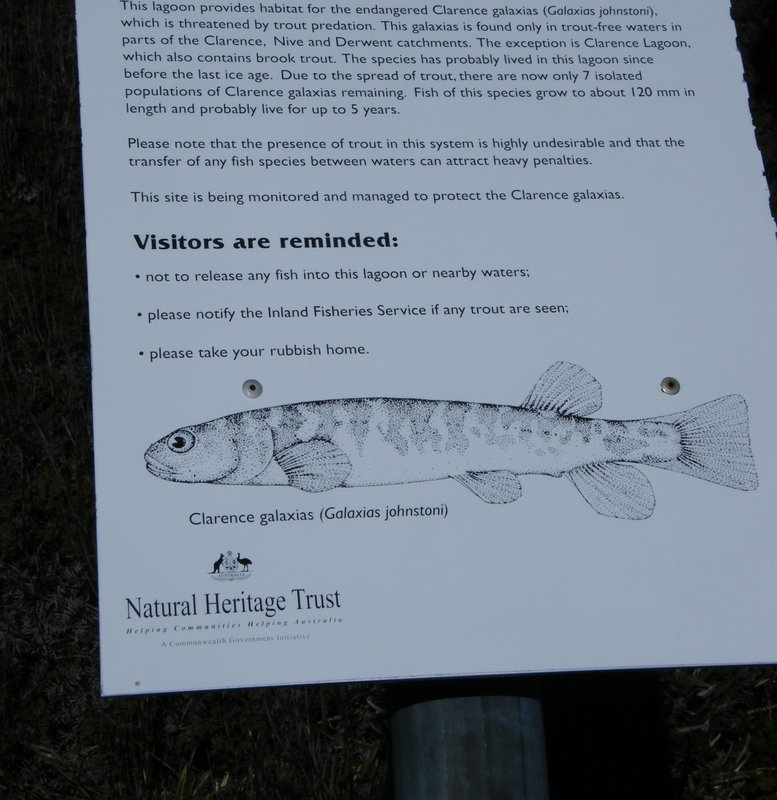 2009_10030022.JPG