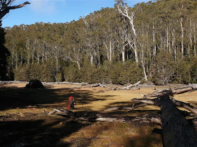 Tent Tarn May 2011 (3).JPG