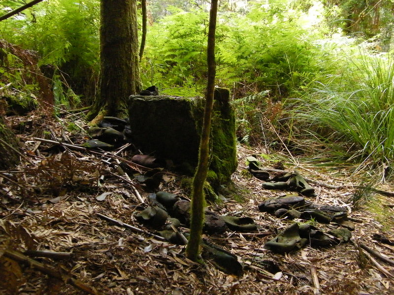 2008_03230415.JPG