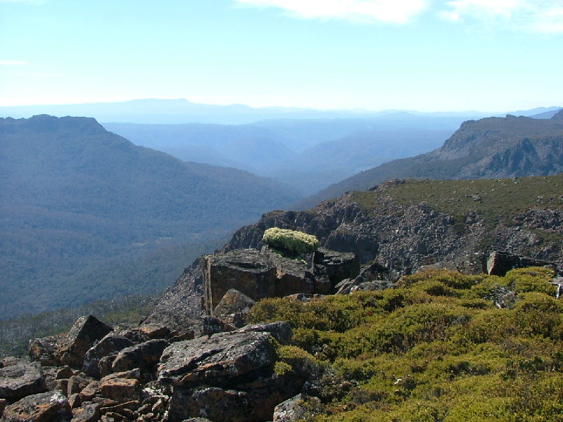 DSCF0813.JPG