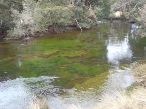 Trout waters.JPG