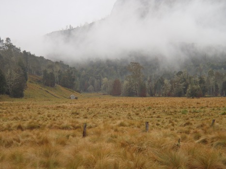 low cloud cover at lees.JPG
