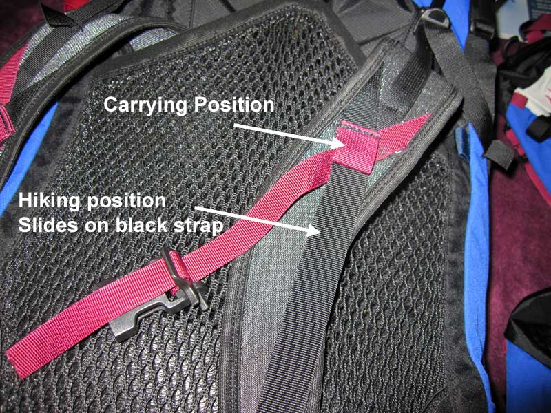 ShoulderStrap.jpg