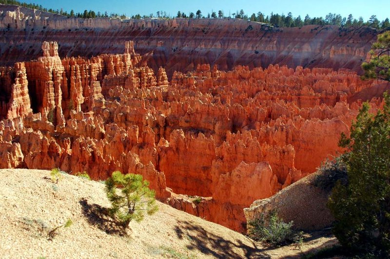 USA - Bryce Canyon (74) sp.jpg