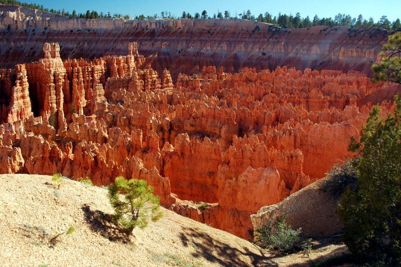 USA - Bryce Canyon (74) sp.jpg