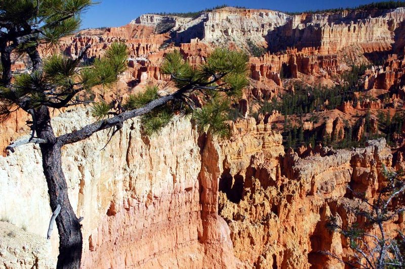 USA - Bryce Canyon (77) sp.jpg