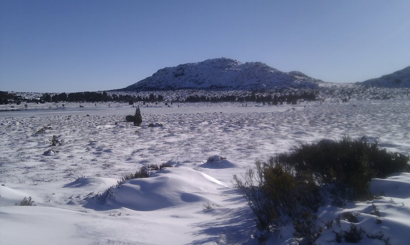 Pine Lake 3.jpg