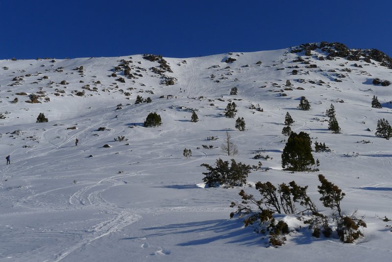 P1000849_resize.jpg