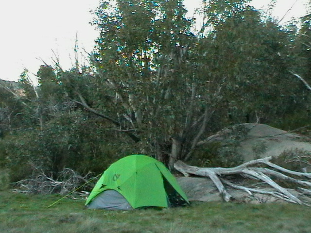 IMGA0223.JPG