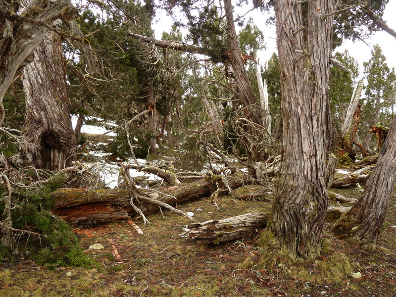 P1030244.JPG