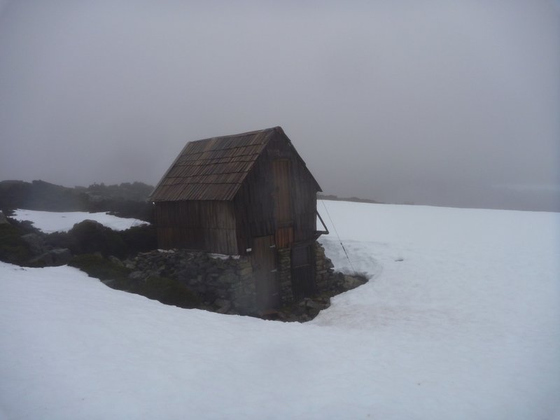 P1000455.jpg