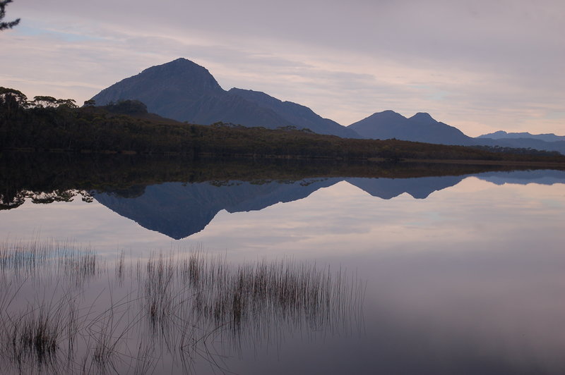 Melaleuca Lagoon 2 (3).JPG