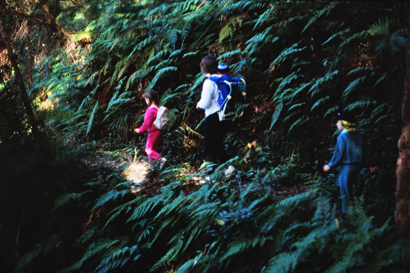 BinnaBurra_0004.jpg