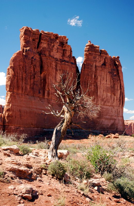 USA - Arches National Park (12).jpg