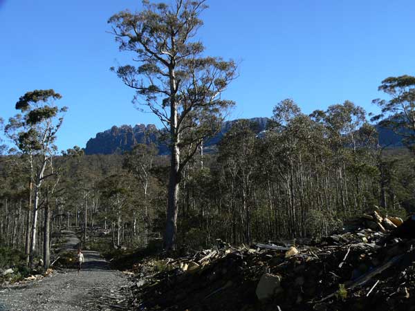 0408-BEN-LOMOND-065.jpg
