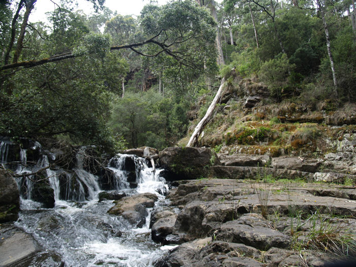 Cascade_closer_to_river.jpg