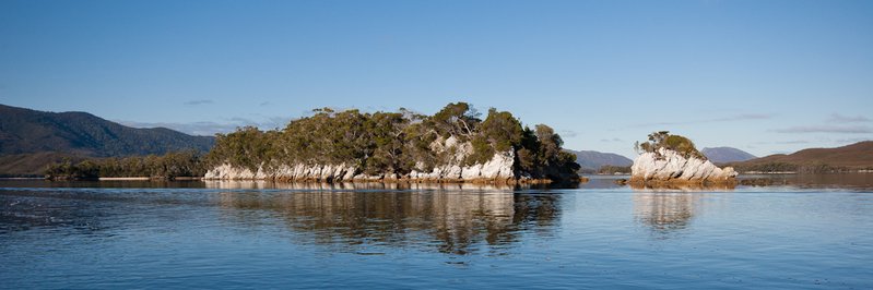 DSC_4244.jpg