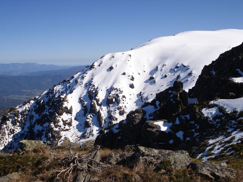 bogong047.jpg