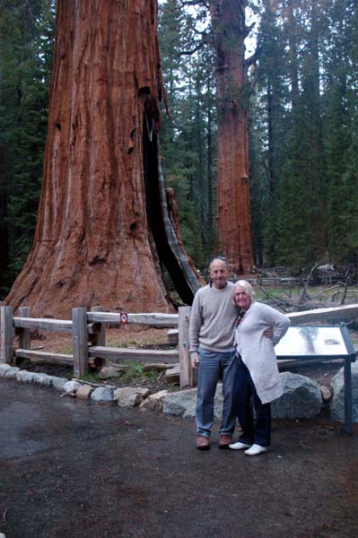 Sequoia NP - General Sherman Tree - the world's biggest living thing.jpg