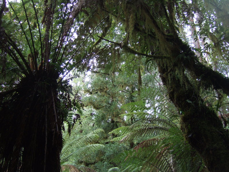 DSCF7041.JPG