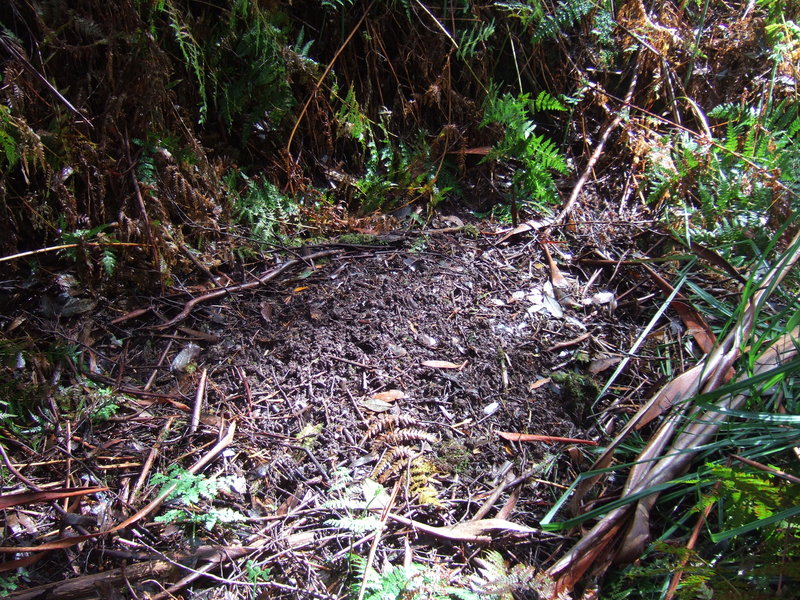 DSCF7047.JPG