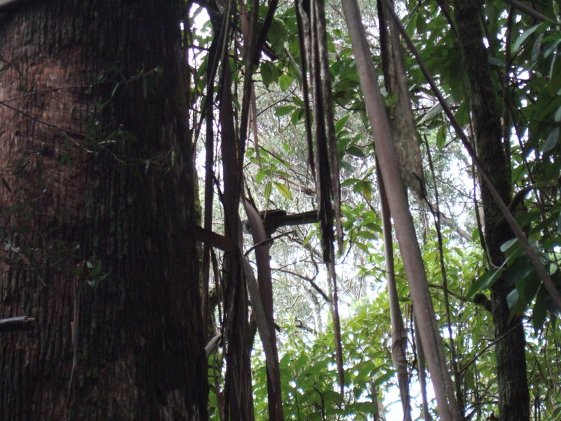 DSCF7050.JPG