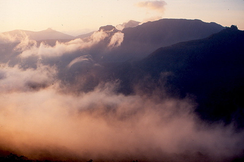 9140 Pelion Mist.jpg