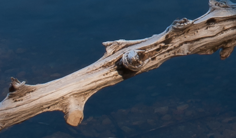 Shadow Lake Panorama detail2.jpg