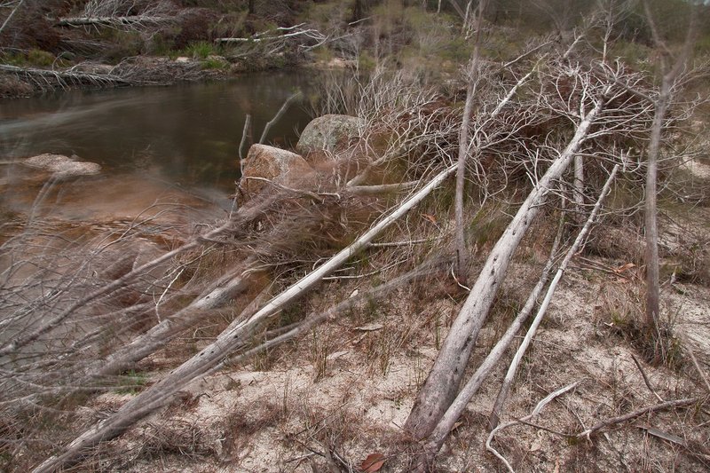 Boonoo Boonoo Creek after flood.jpg