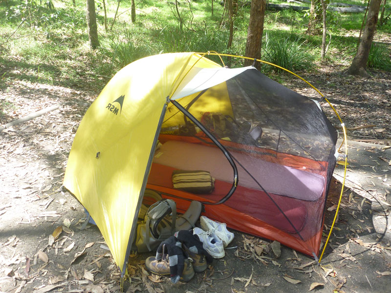 P1010194.jpg
