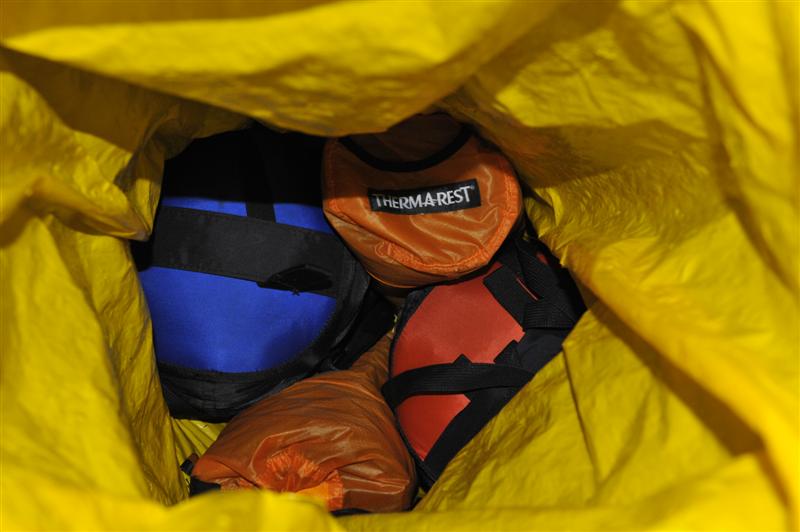 bio-bag1.JPG