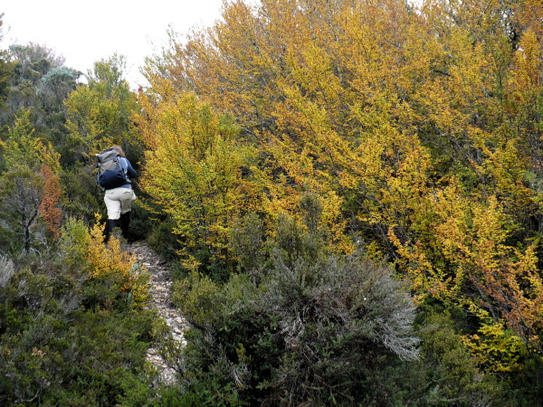 P1000153.JPG