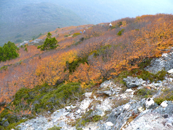 P1000186.JPG