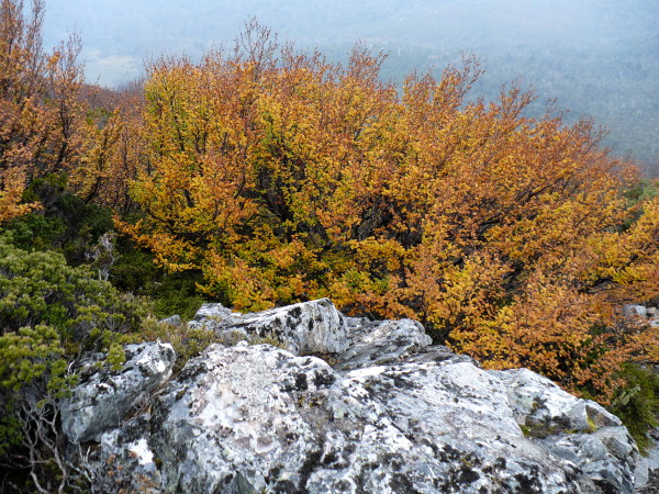 P1000188.JPG