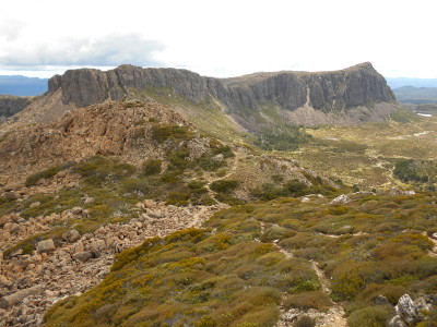 tasfbIMG_0017.JPG