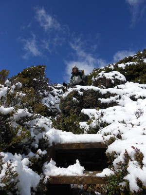 tascradIMG_0016.JPG