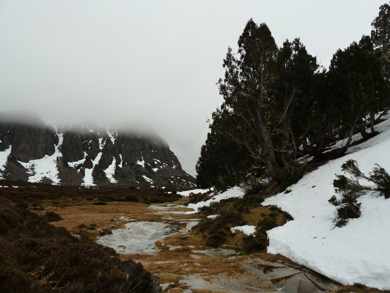 King Davids And Snow.JPG