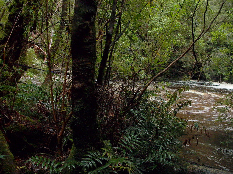 Flooded Creek past Deadmans Bay.JPG