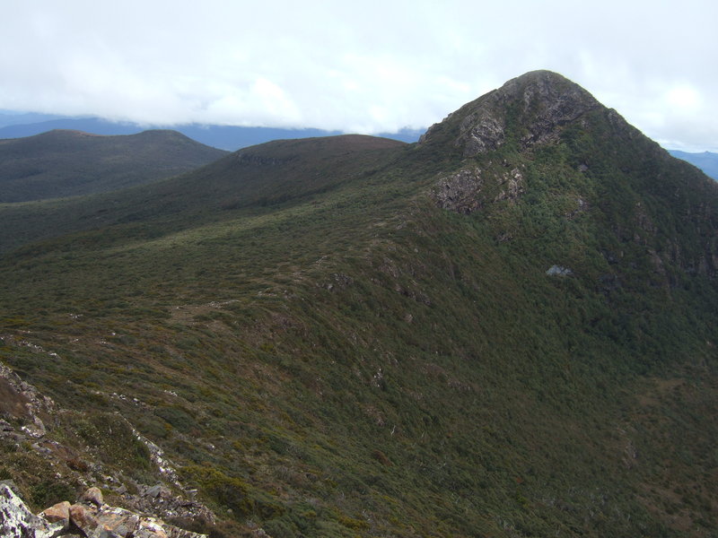 2011_1216adamsonscalfmesa0009.JPG