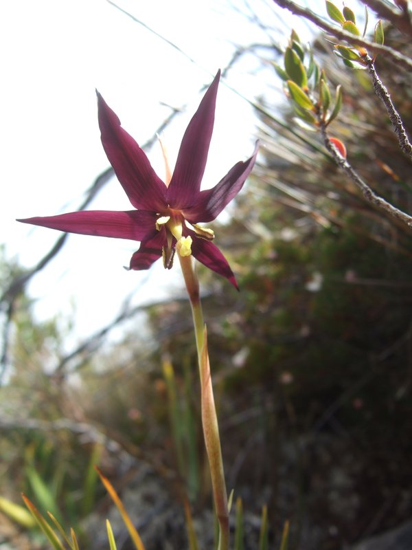 2012_0101Denisons0018.JPG