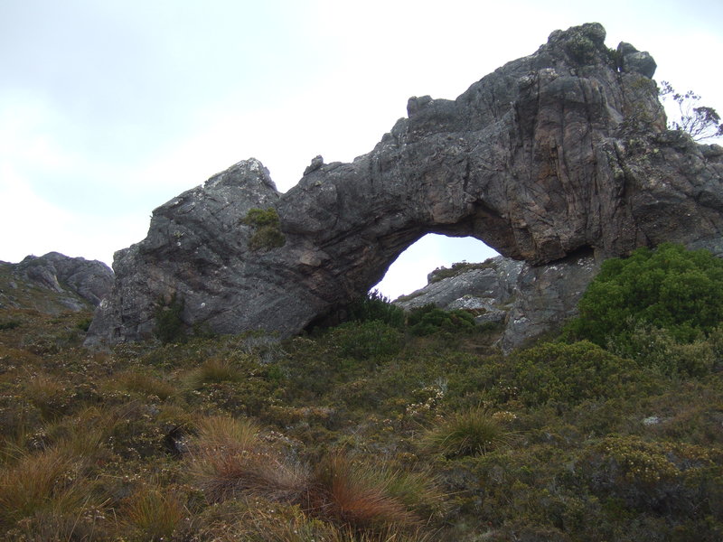 2012_0101Denisons0040.JPG