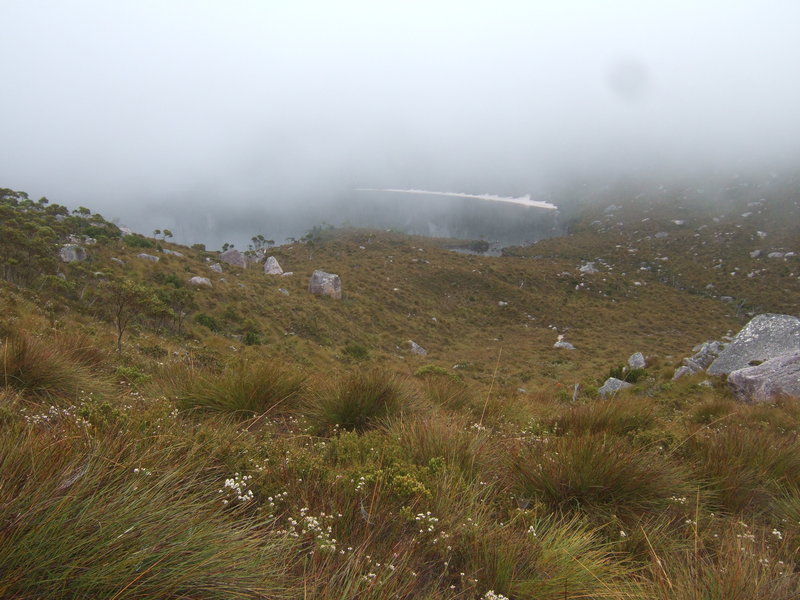 2012_0101Denisons0320.JPG