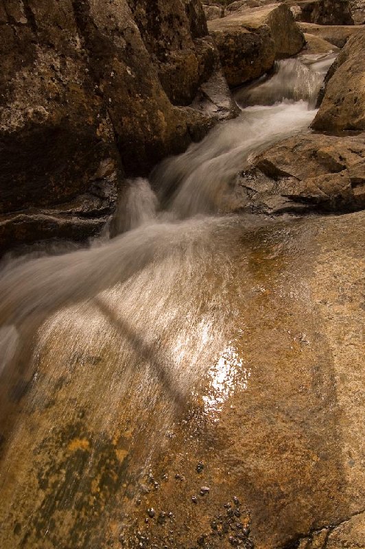 DSC_2779.jpg