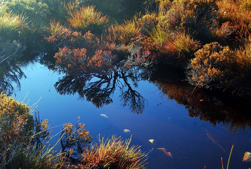 Tarn reflections (1) sp.jpg