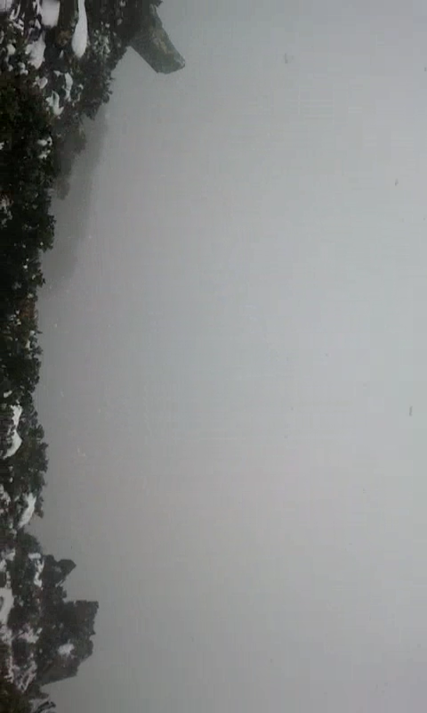 grey.png