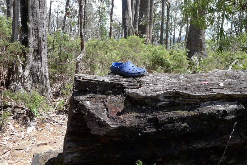 P1030217.JPG