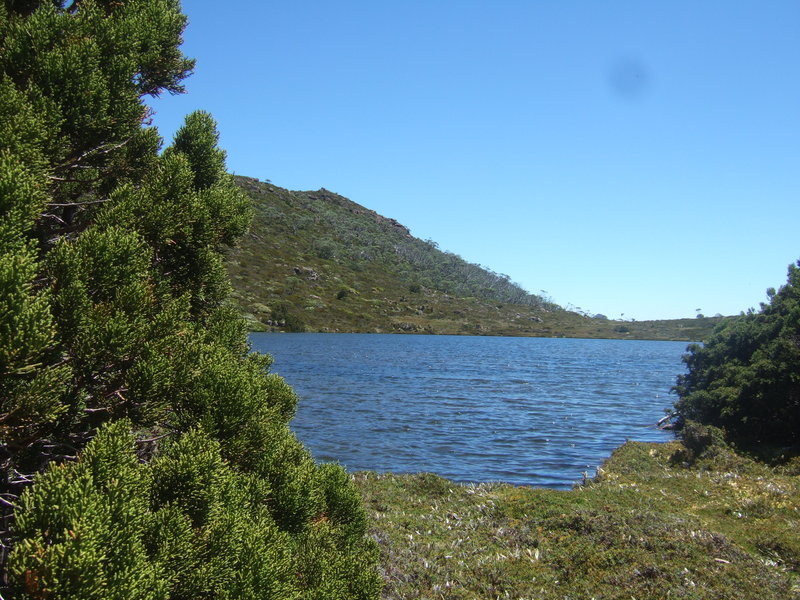 DSCF8770.JPG