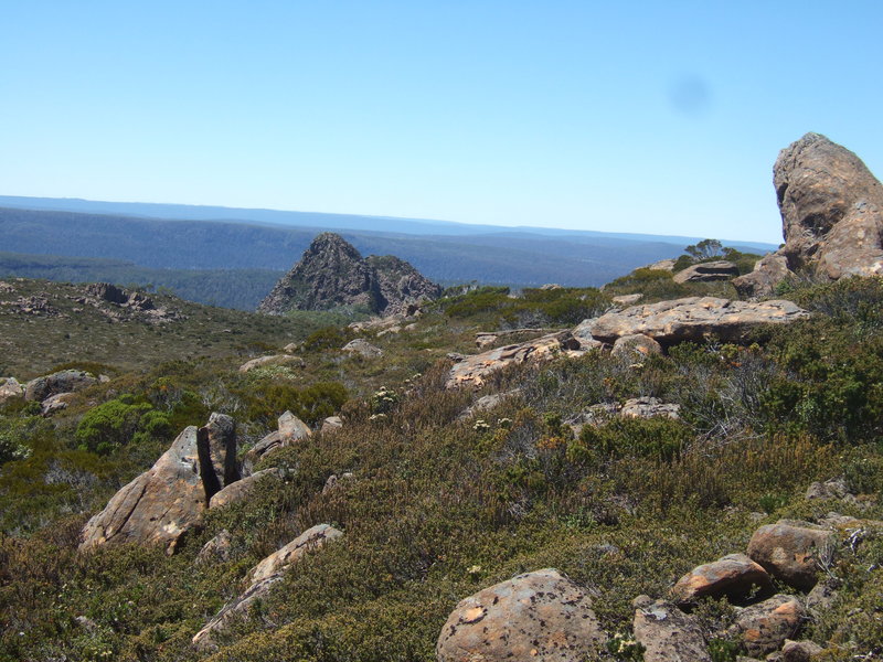 DSCF8775.JPG