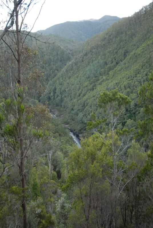 D2C_0012.JPG